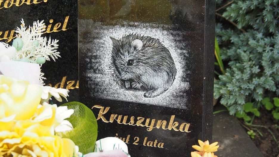Cmentarz dla Zwierząt w Łodzi
