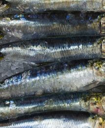Spożycie ryb w Polsce rośnie dynamicznie