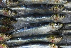 Spożycie ryb w Polsce rośnie dynamicznie