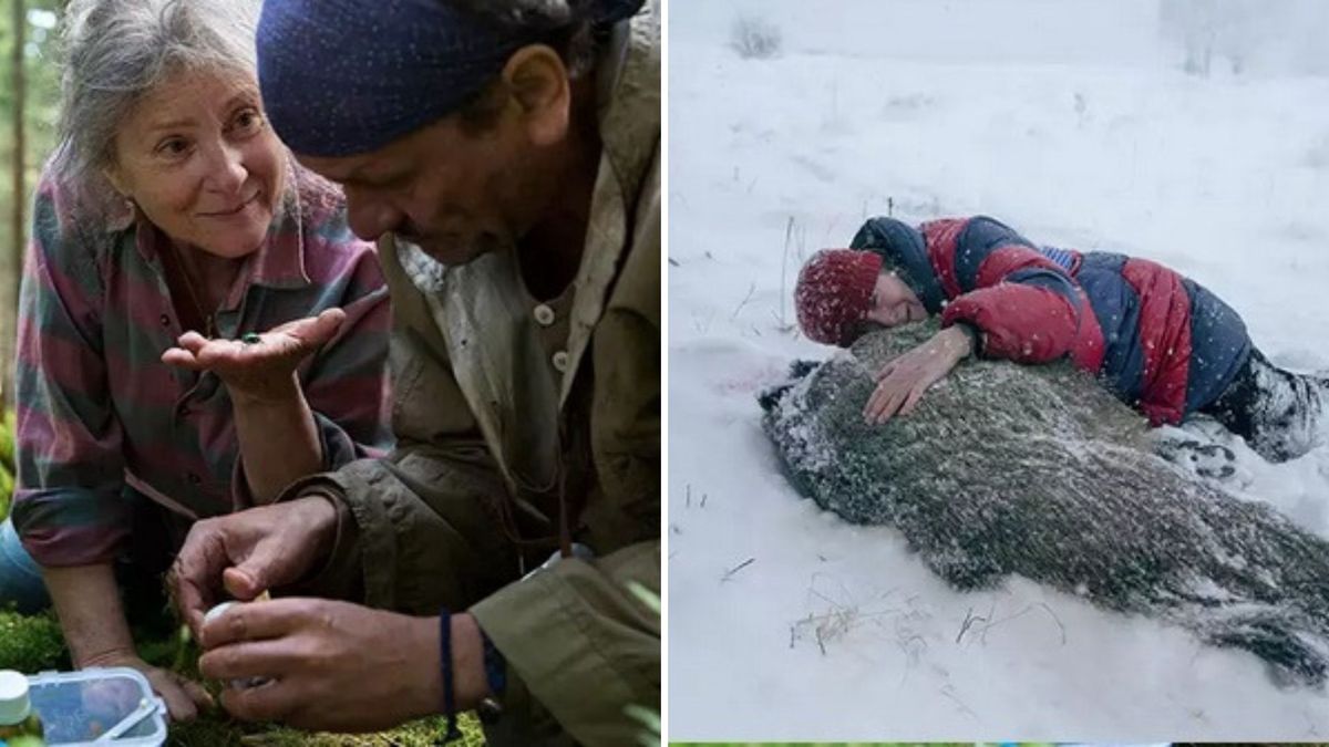 Już dziś w telewizji "Pokot"