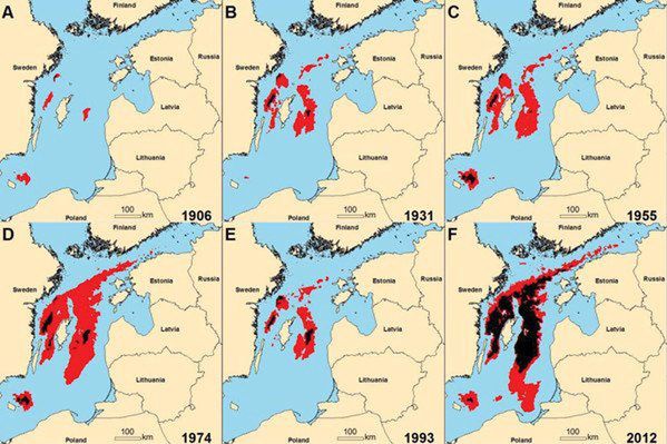 The Baltic Sea is dying