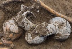 Archeolodzy znaleźli ślady opium na naczyniach sprzed 3500 lat