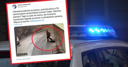 "Człowiek-choinka" zatrzymany. Za wybryk grozi mu więzienie