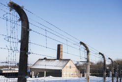 Niemcy. Skandal w Buchenwaldzie. Ludzie na sankach na terenie byłego obozu