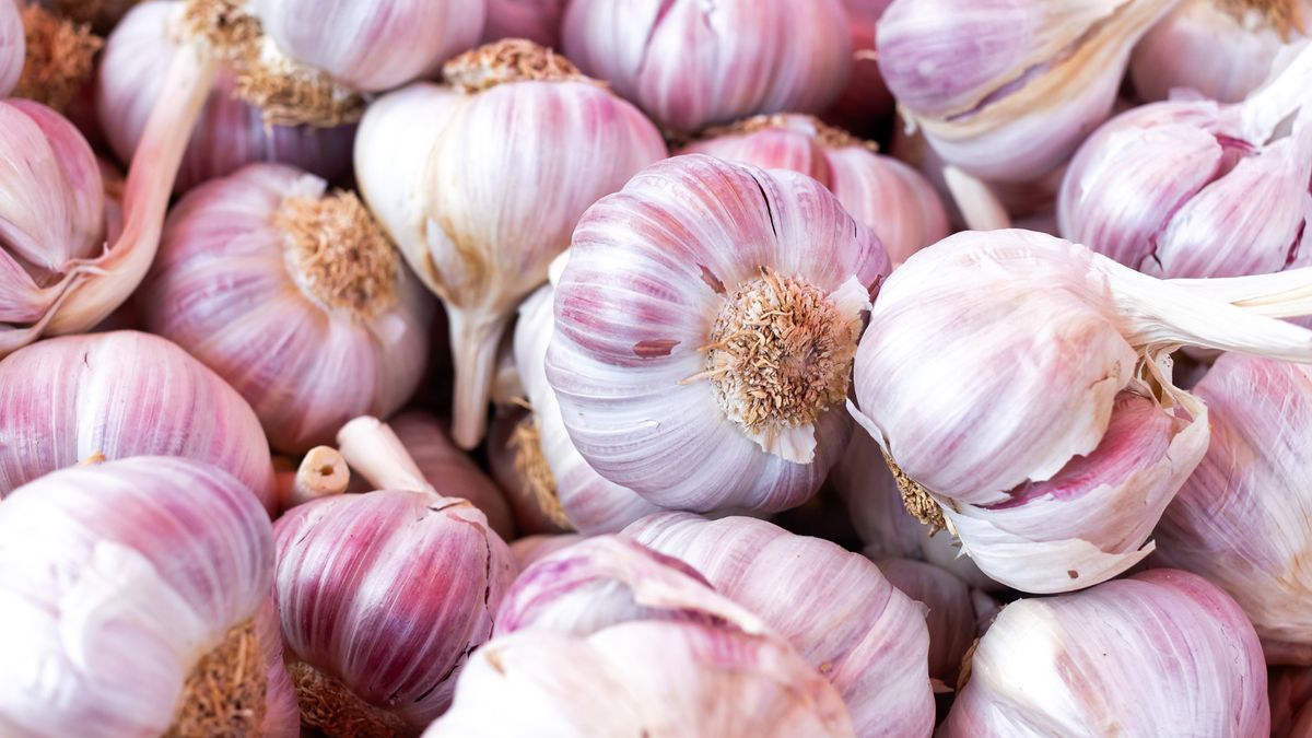 Czosnek polski jest o wiele zdrowszy od chińskiego
