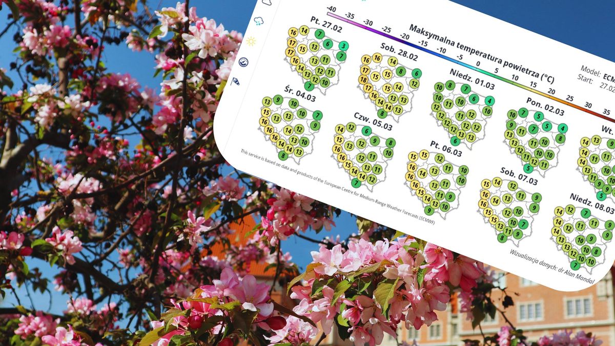 Wiosenna aura w lutym zaskoczy Polskę