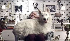 „Chcieć to móc” w kampanii sprzętu AGD marki Zelmer (wideo)