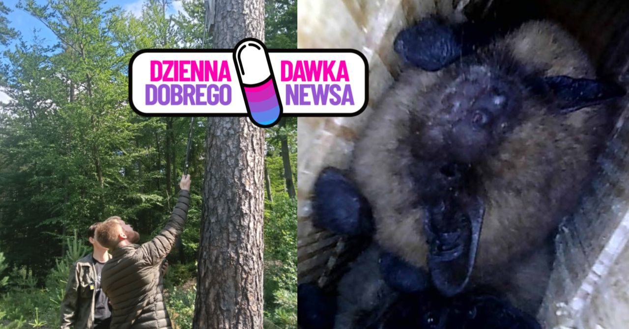 Pokazali zdjęcia. Przyłapali go podczas inwentaryzacji schronów