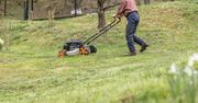 Spryskaj trawnik. "Wypalisz" chwasty w mig