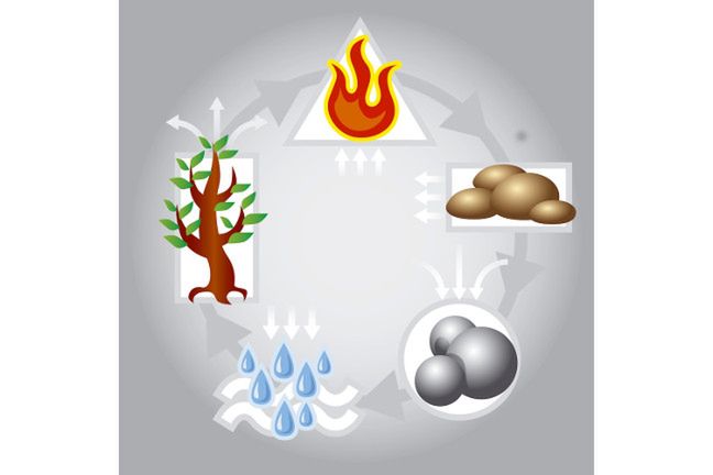 W filozofii feng shui światem rządzi 5 żywiołów: ogień, ziemia, metal, woda i drzewo