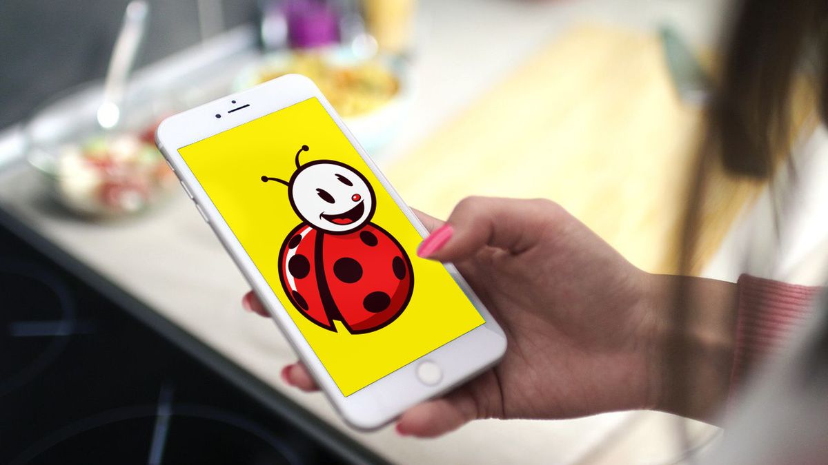 Biedronka z nową aplikacją. Sprawdzisz, czy produkt jest dostępny w sklepie 1