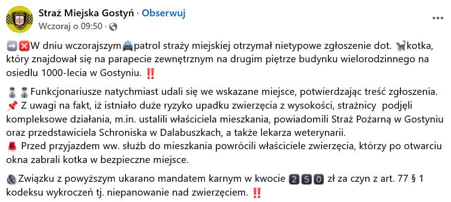 Straż miejska z Gostynia opisała sytuację