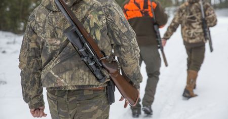 Wielka afera w myśliwskim światku. Setki łowczych polują bez egzaminów?
