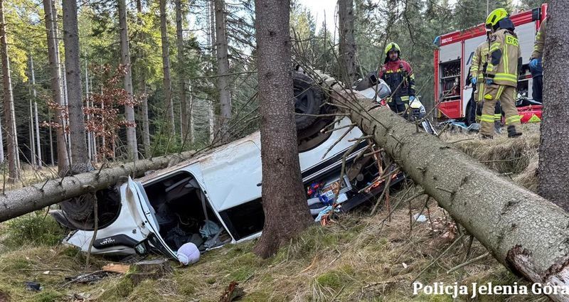 Ściął dwa świerki, auto dachowało