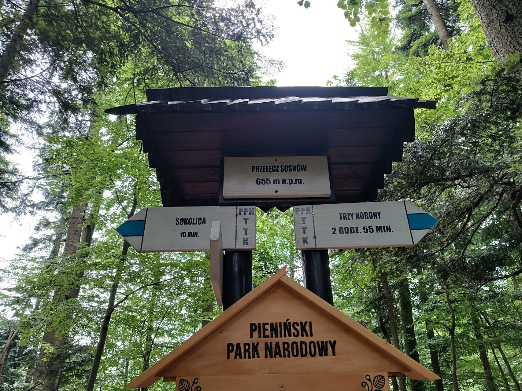 Drewniany drogowskaz na Przełęczy Sosnów, 655 m n.p.m., ze strzałką w stronę Sokolicy