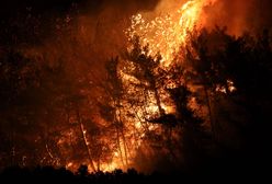 Pożar lasów w Rosji. Skutki odczuwalne nawet w Moskwie