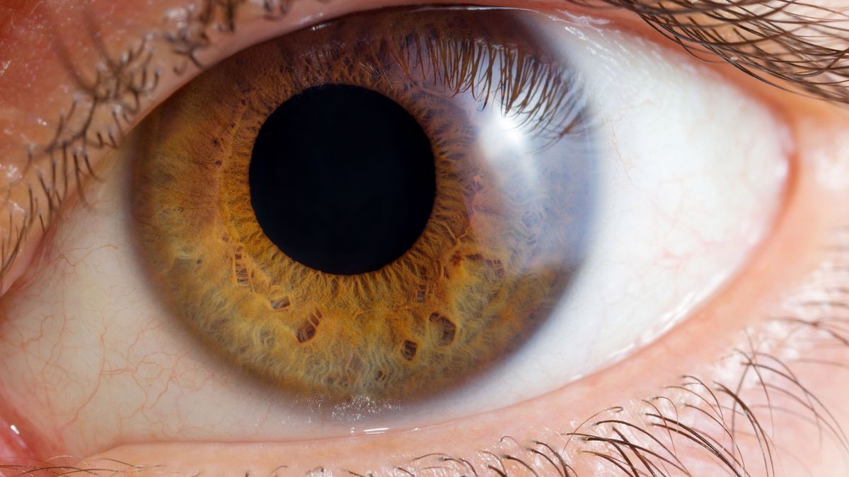 Osoby o brązowych oczach są mniej podatne na uzależnienie od alkoholu