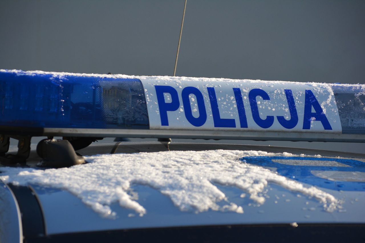 Martwy dzik w bagażniku. Dwaj mężczyźni odpowiedzą za kłusownictwo