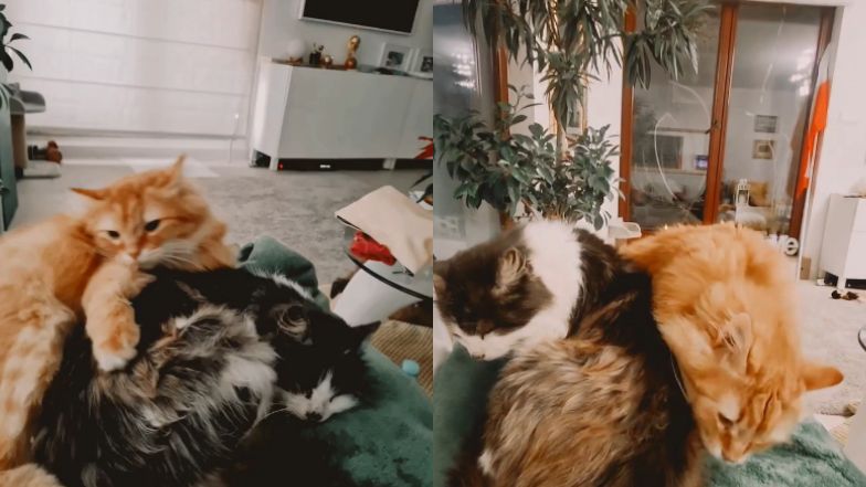 Tak mieszka Małgorzata Opczowska