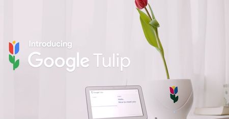 Google Tulip - pogadaj ze swoim tulipanem [Prima Aprilis]