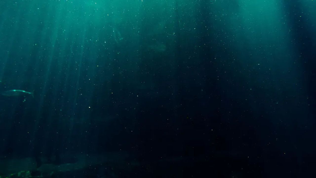 The depths of the sea, illustrative photo