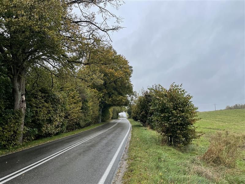 Tą drogą jechał sprawca tragicznego wypadku