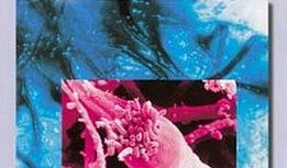 Mikrobiologia - krótkie wykłady