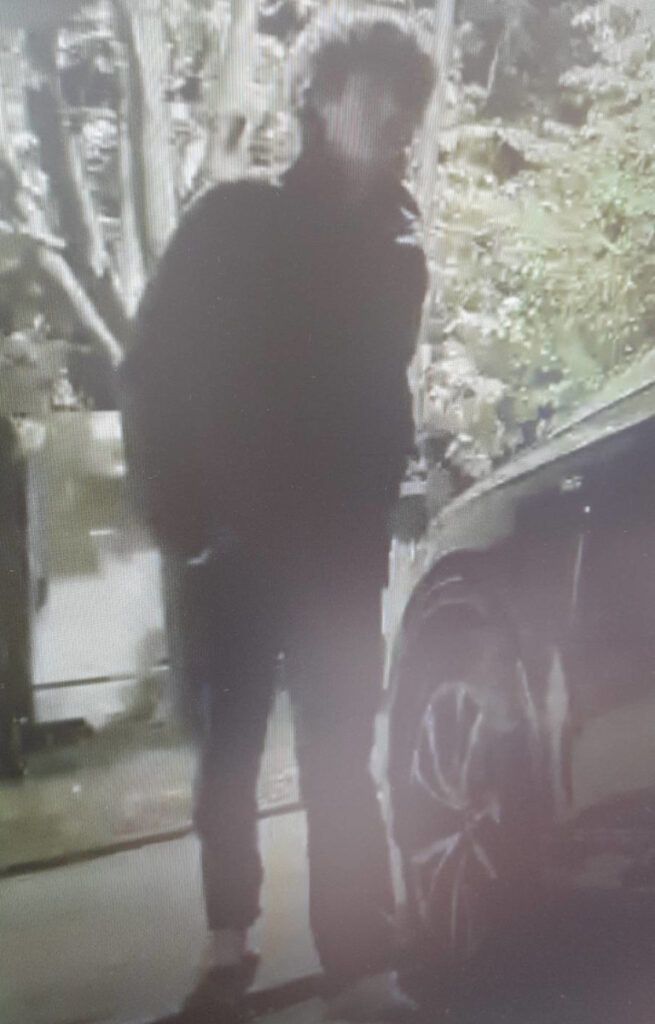 Mężczyzna w ciemnej odzieży stoi obok samochodu w oświetlonym otoczeniu z roślinnością w tle.