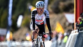 Faworyt wycofał się z Tour de Pologne. To efekt kraksy