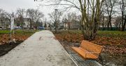 Bydgoszcz: Kiedyś był tutaj cmentarz. Tak się zmienia Park Witosa