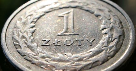 Złoty odrabia straty po największej zapaści w tym roku