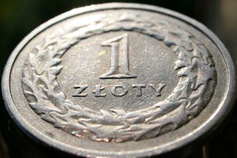 Złoty odrabia straty po największej zapaści w tym roku
