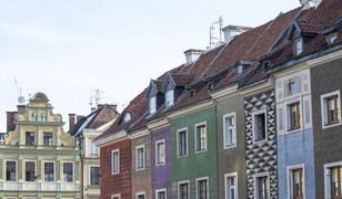 Wybory prezydenckie 2025. Jak głosowano w województwie wielkopolskim i jego stolicy, Poznaniu?