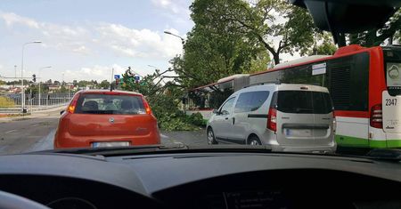 Lublin po burzy: powalone drzewa, pozgniatane samochody, brak prądu i zablokowane lubelskie ulice