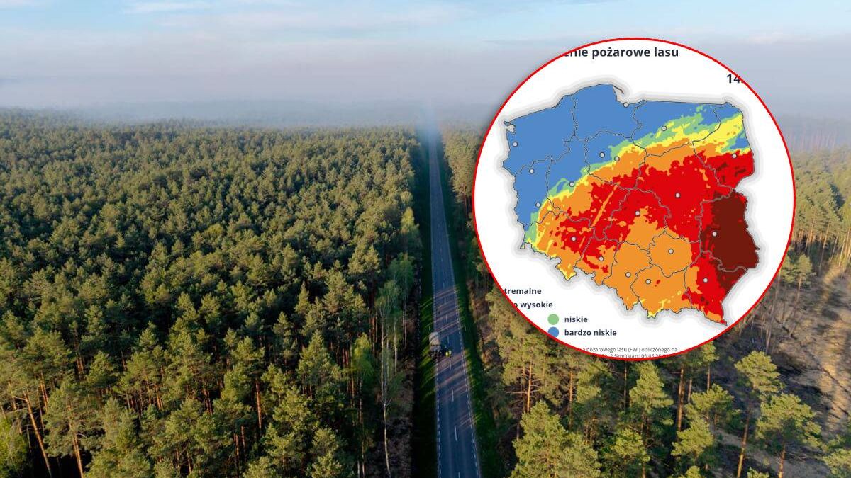 Duże zagrożenie pożarowe lasów w województwie lubelskim