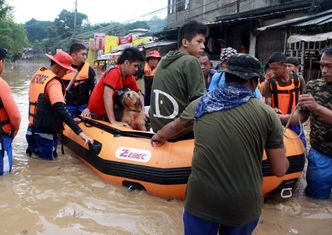 Filipiny: Już ponad 500 ofiar śmiertelnych tajfunu Bopha