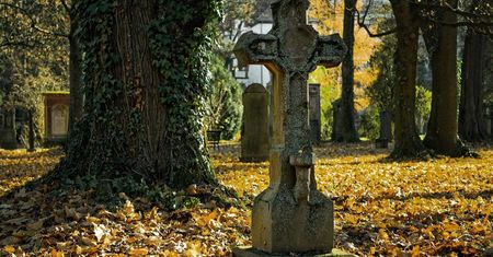 Życie po śmierci istnieje? Badania, które wywołały poruszenie