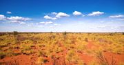 Ekstremalnie wysokie temperatury w Australii. Zapowiadany jest najgorętszy dzień w historii