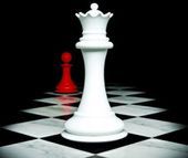 Nagroda księgarzy „Witryna” dla Przed świtem Stephenie Meyer