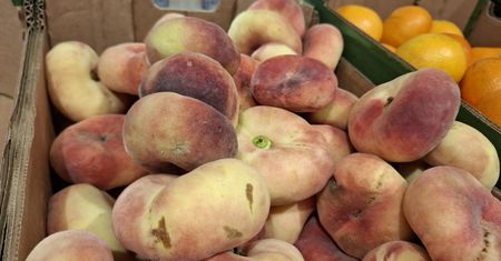Ktoś na nich usiadł? Ten hit znika z marketów i bazarków w mgnieniu oka