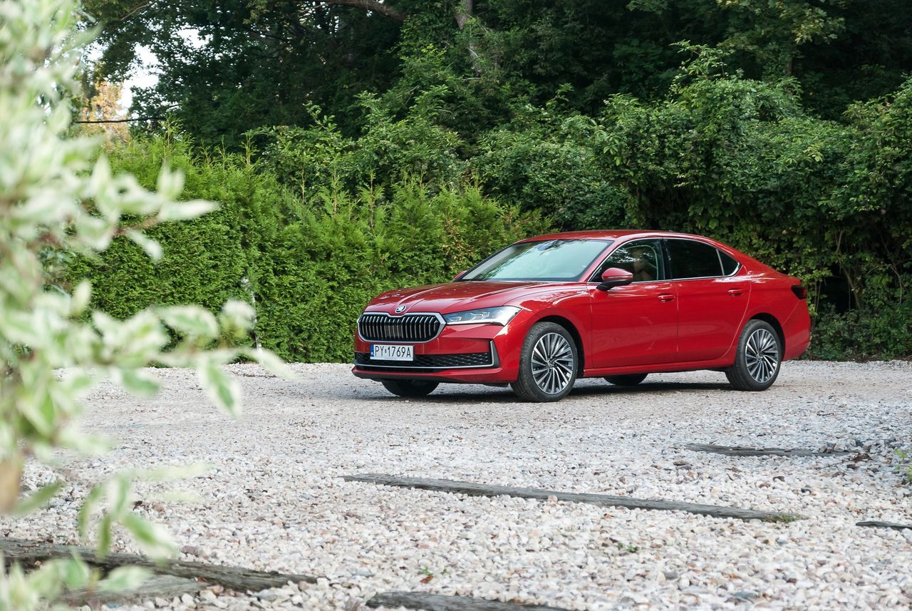 Test: Škoda Superb 2.0 TDI 150 KM - mozolny progres