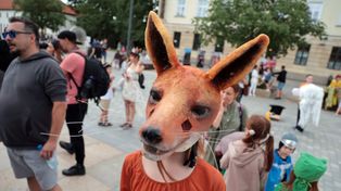 C jak Ciekawość. W weekend rusza Festiwal Literatury i Rozwoju Dzieci "Alfabet"