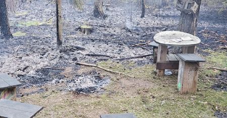 Pokazali efekty pożaru w lesie. Wystarczyło jedno ognisko