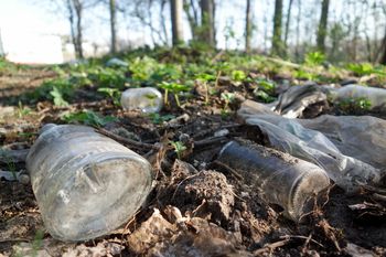 Nawet 110 tys. ton. Plaga w polskich lasach. Apelują do rządu