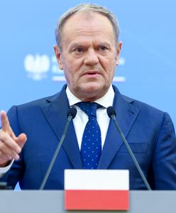Tusk skomentował słowa lidera AFD. Uderzył w Nawrockiego