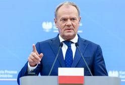 Tusk skomentował słowa lidera AFD. Uderzył w Nawrockiego