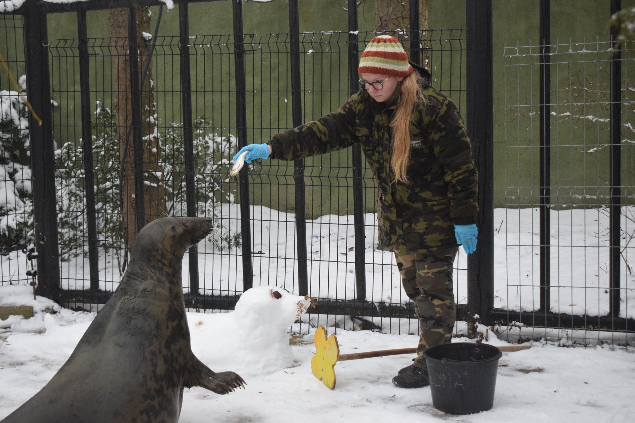 Selma królowa zoo