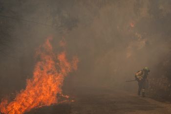 Dramat w Hiszpanii. W pożarze lasu zginęło już 12 osób