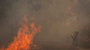Dramat w Hiszpanii. W pożarze lasu zginęło już 12 osób