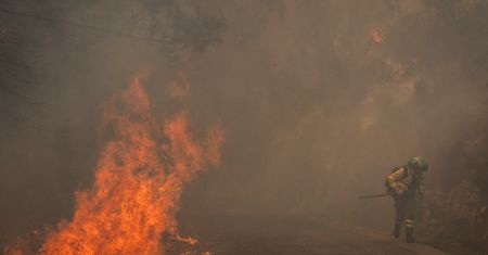 Dramat w Hiszpanii. W pożarze lasu zginęło już 12 osób